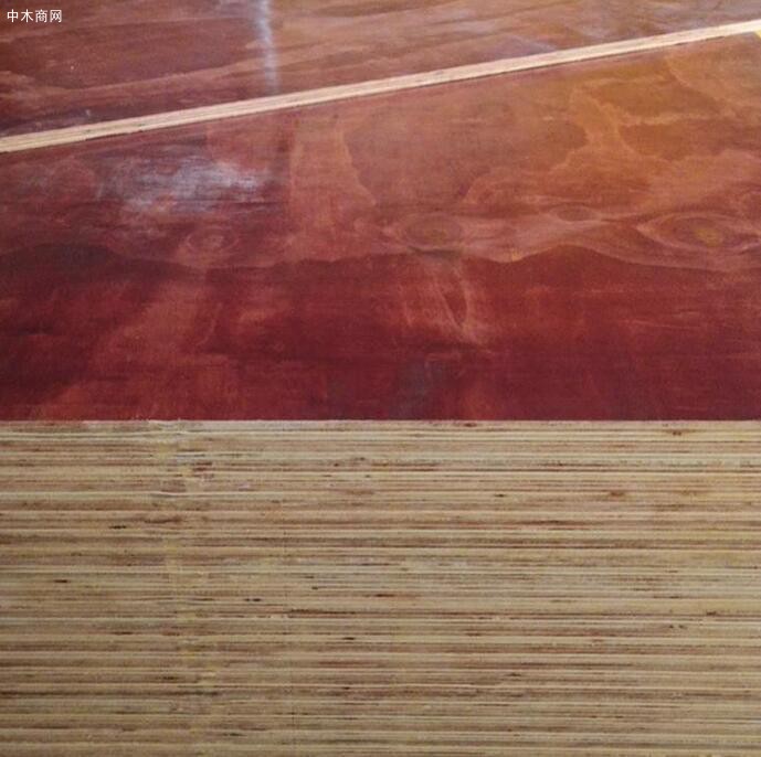 紅膜建筑模板批發廠家圖片