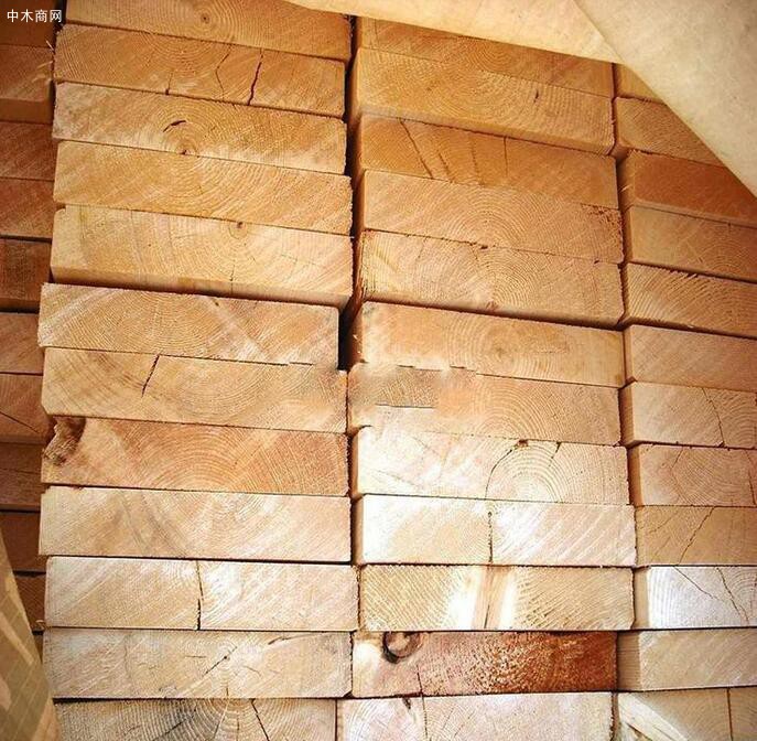 輻射松建筑木方的作用有哪些及挑選的幾個技巧圖片