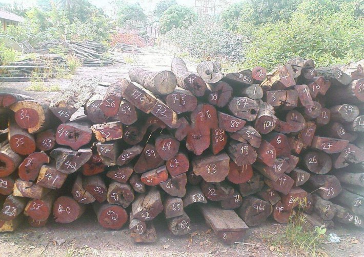 福建仙游紫檀原料價格行情