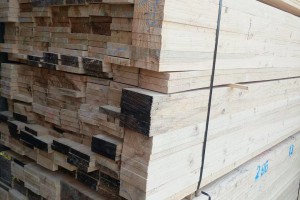 廣西來賓將培育育規(guī)模木材加工業(yè)企業(yè)30家以上