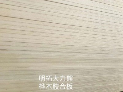 明拓1220*2440全樺木膠合板