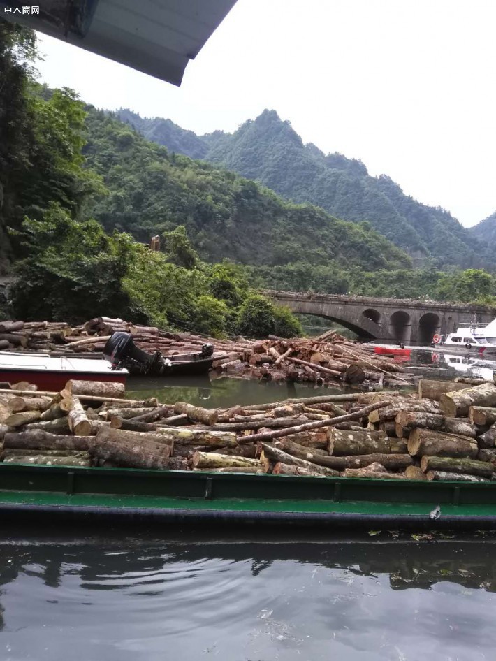 浙江上海等地木材商家通過停工等應對強臺風來襲