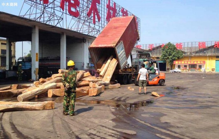 木材商對刺猬紫檀后市走向不看好