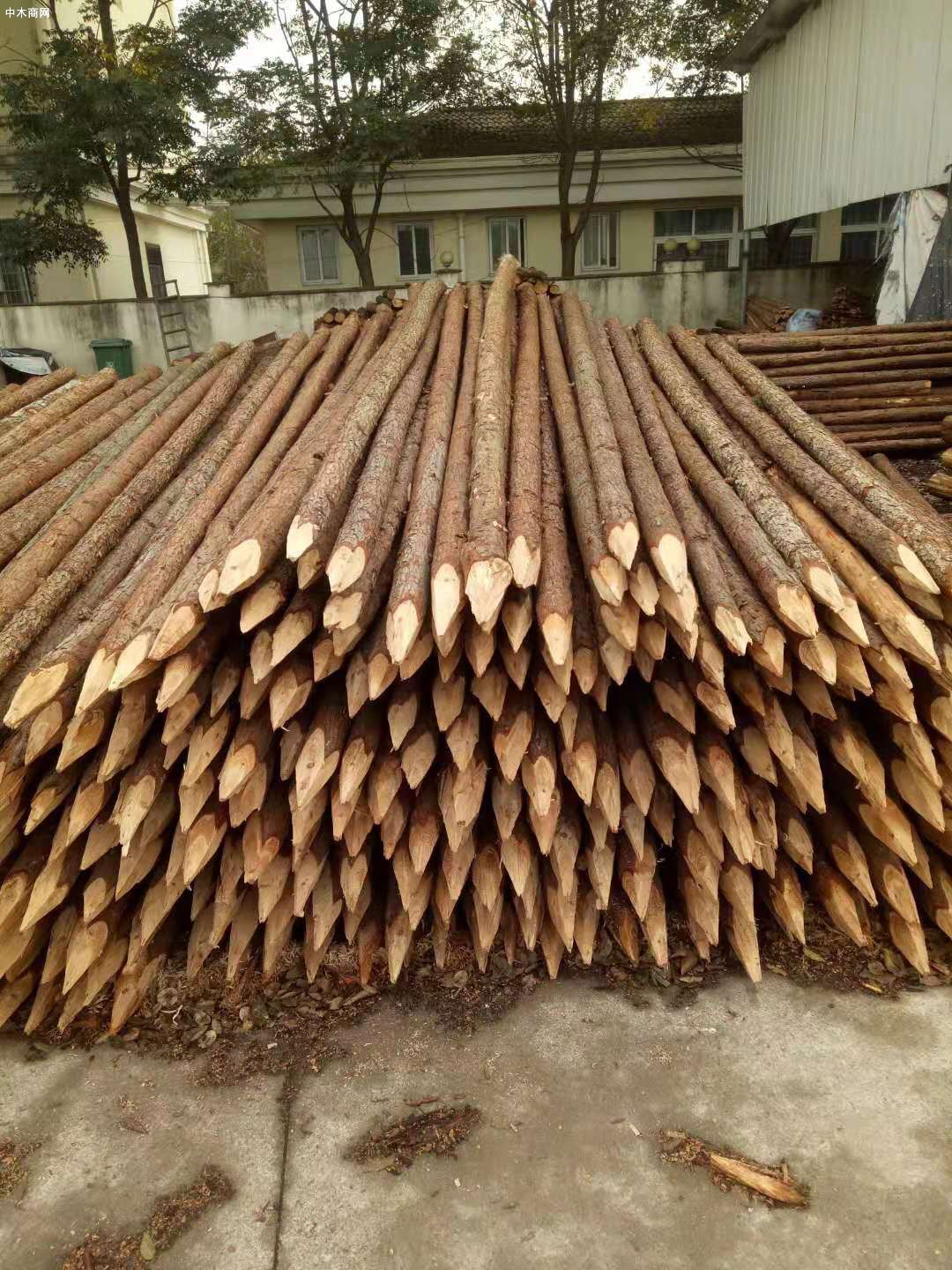 針葉材價格行情
