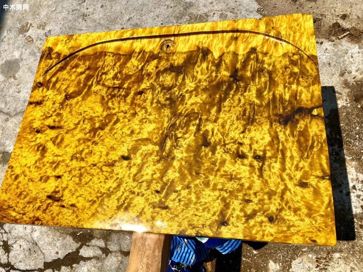 金絲楠樹瘤價格及圖片表