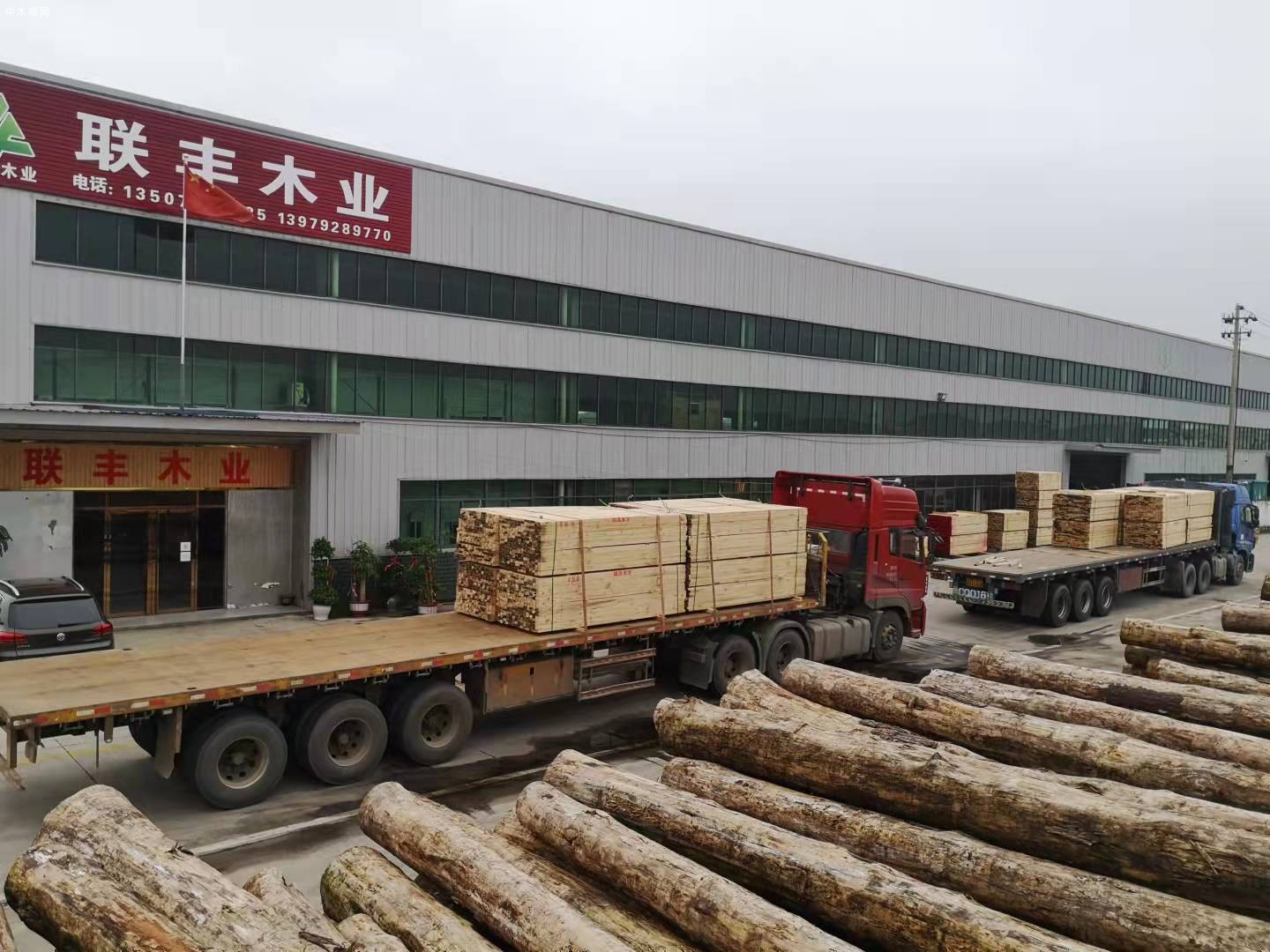 江西聯(lián)豐建筑木材方木的圖片求購