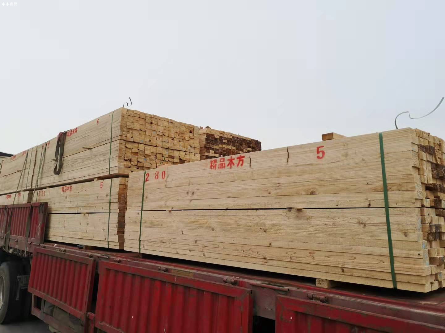 江西聯(lián)豐建筑木材方木的圖片批發(fā)