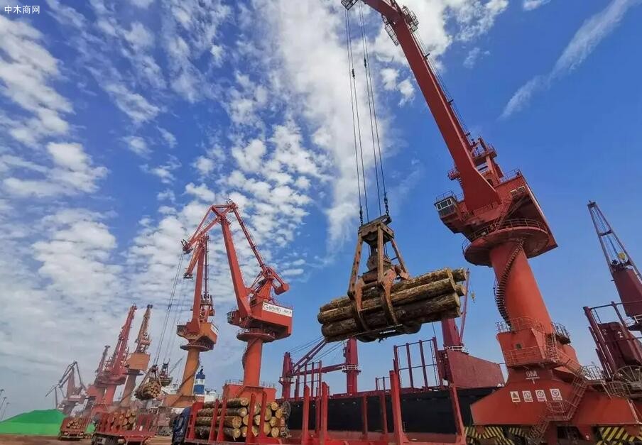 山東蓬萊港今年接卸木材量達到18.1萬立方米
