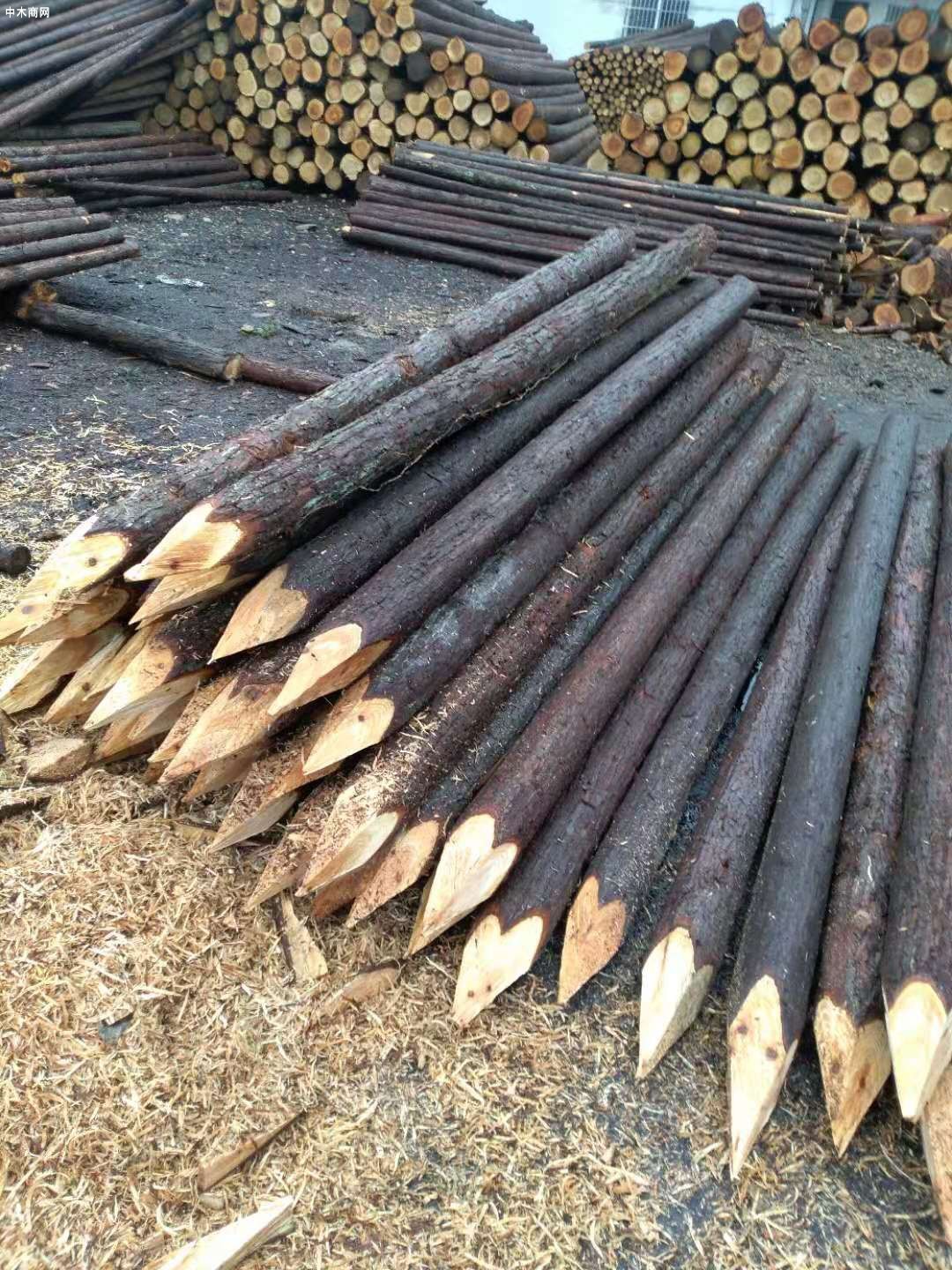 國內市場木材價格行情