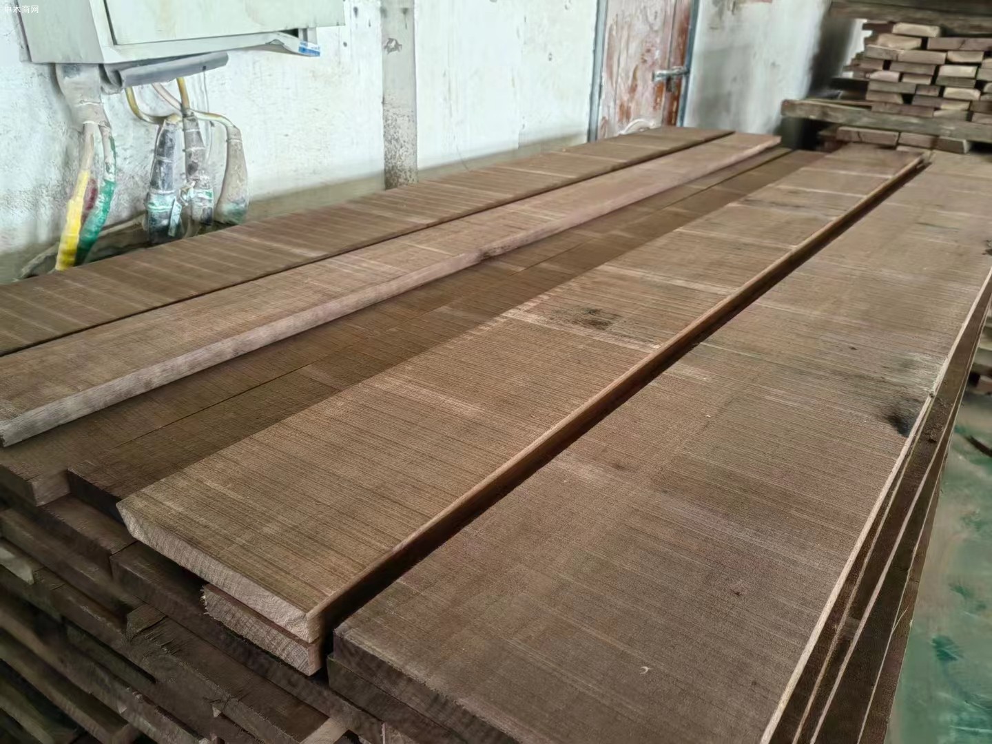 Walnut 大愛美國黑胡桃木廠家