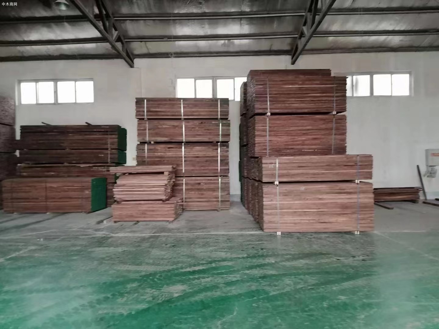 Walnut 大愛美國黑胡桃木采購商