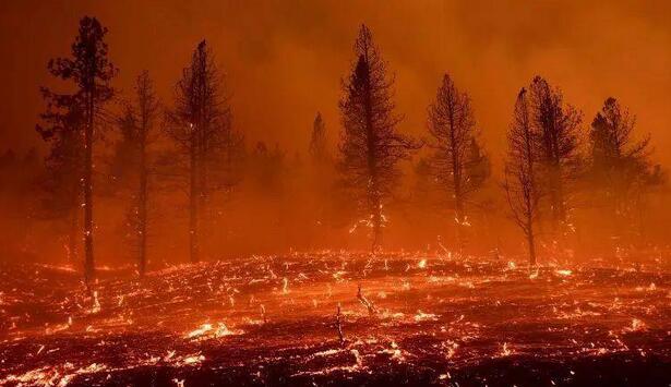 歐洲多國(guó)發(fā)生大規(guī)模野火事件