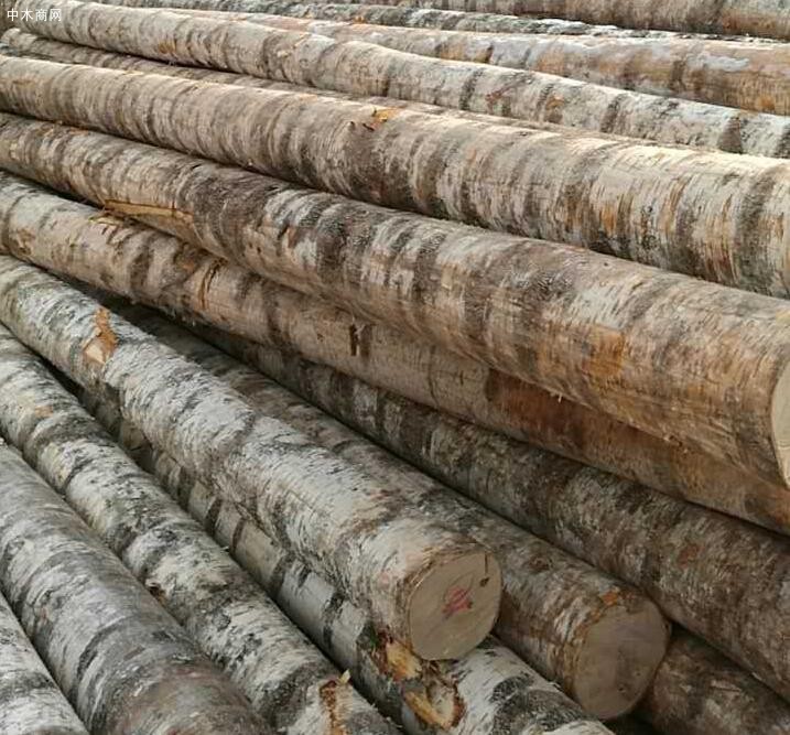 前7個(gè)月俄羅斯原木出口數(shù)量下降幅度超50%