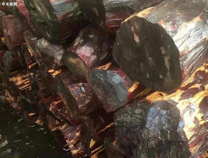 贊比亞：設立10個木材當地拍賣場