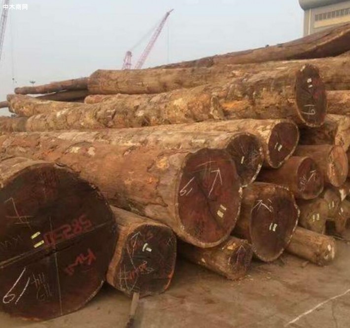 非洲格木價格行情