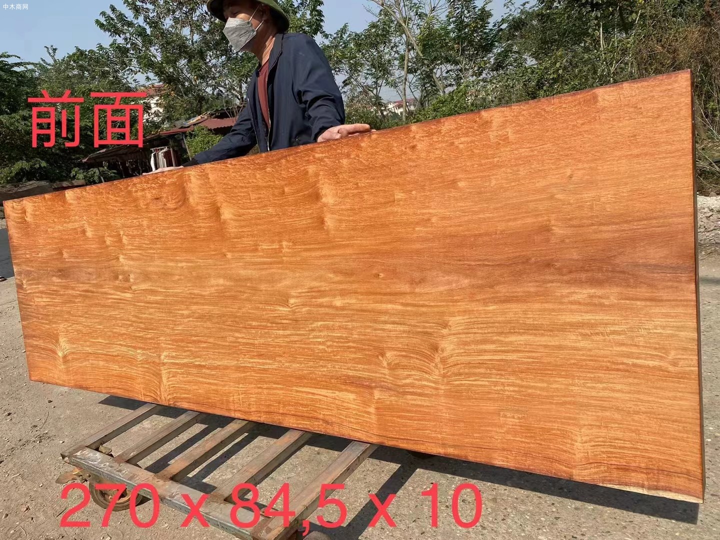 緬甸花梨木大板為什么有白皮及緬甸花梨家具為什么出現(xiàn)白毛價格