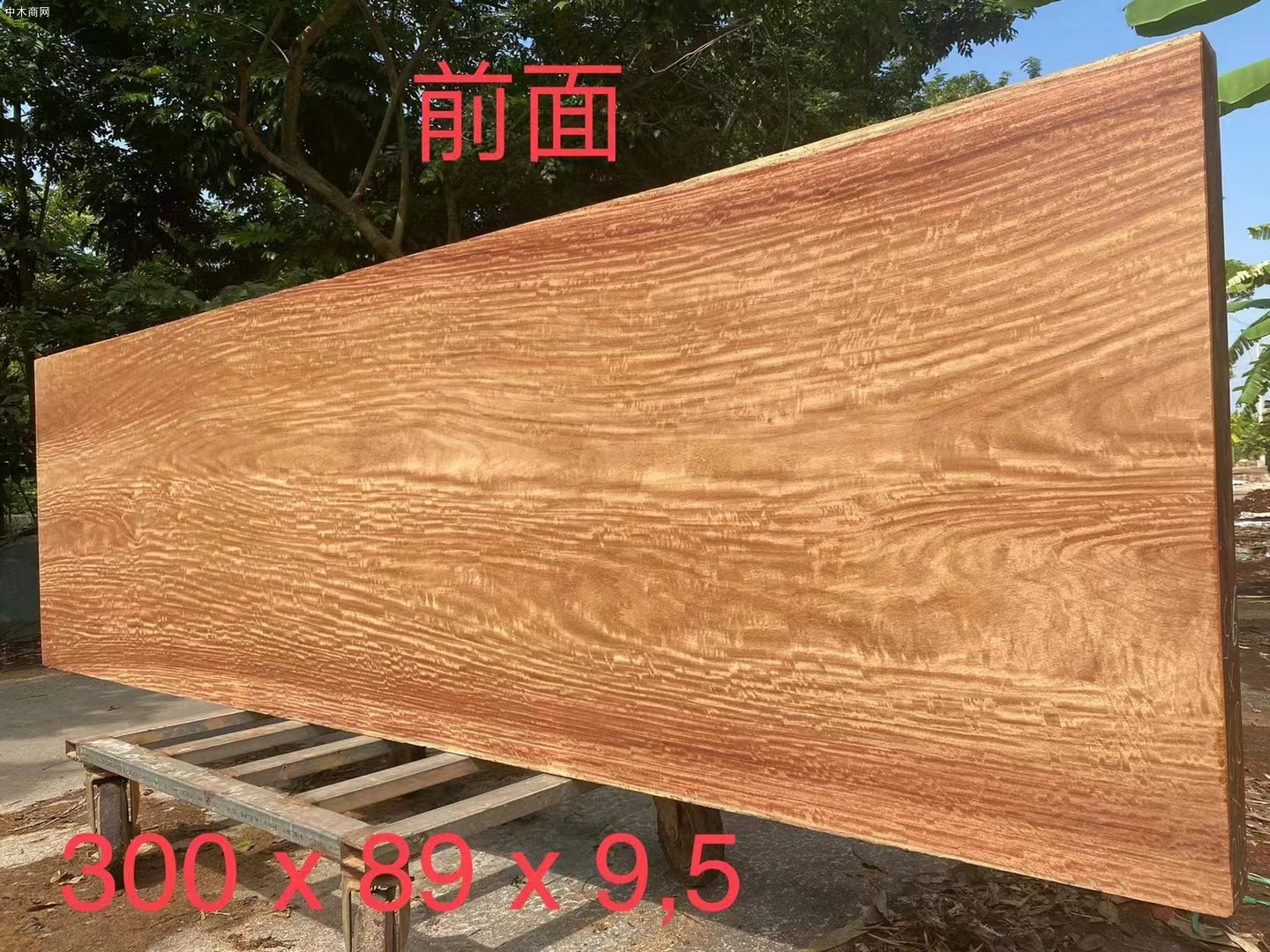 緬甸花梨木大板為什么有白皮及緬甸花梨家具為什么出現(xiàn)白毛品牌