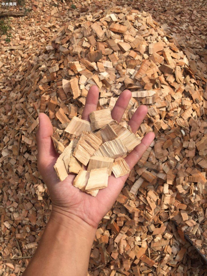 湖南樟木片價(jià)格行情