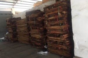 3000公斤木材憑空消失？