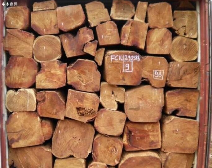 緬茄木價格行情