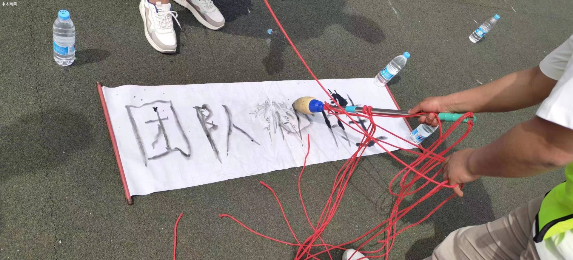上海山姆木業美國黑胡桃板材強大的銷售服務團隊圖片