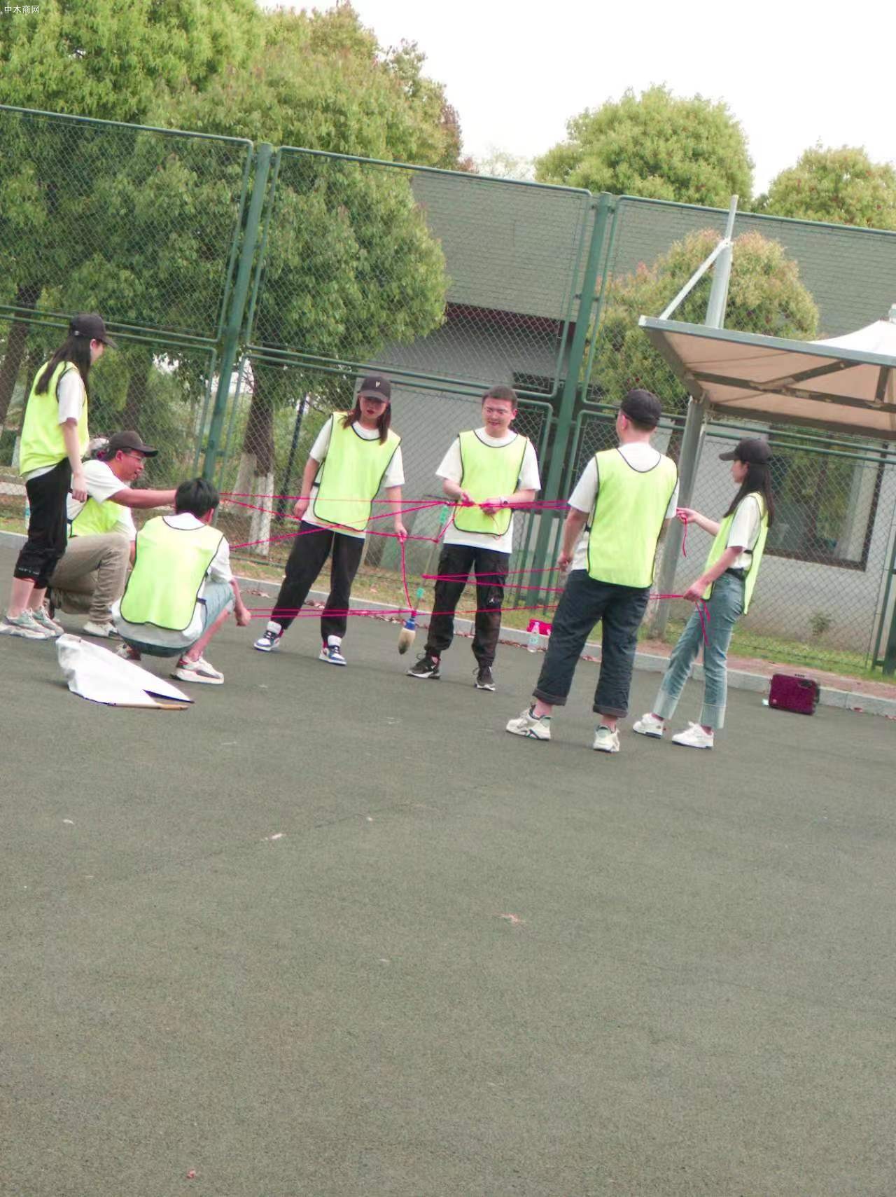 Fas級黑胡桃板材