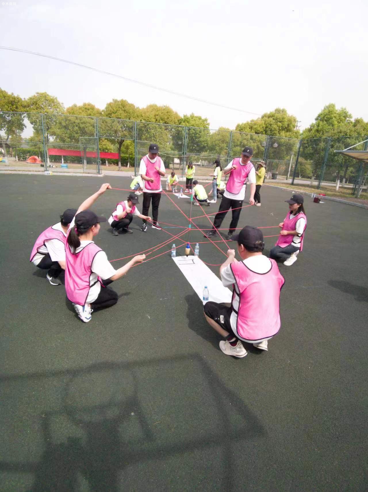 黑胡桃板材家具效果圖