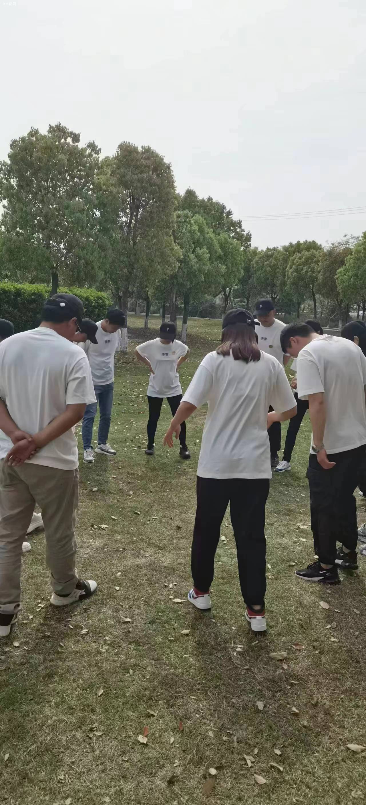 上海山姆木業美國黑胡桃板材強大的銷售服務團隊激勵口號