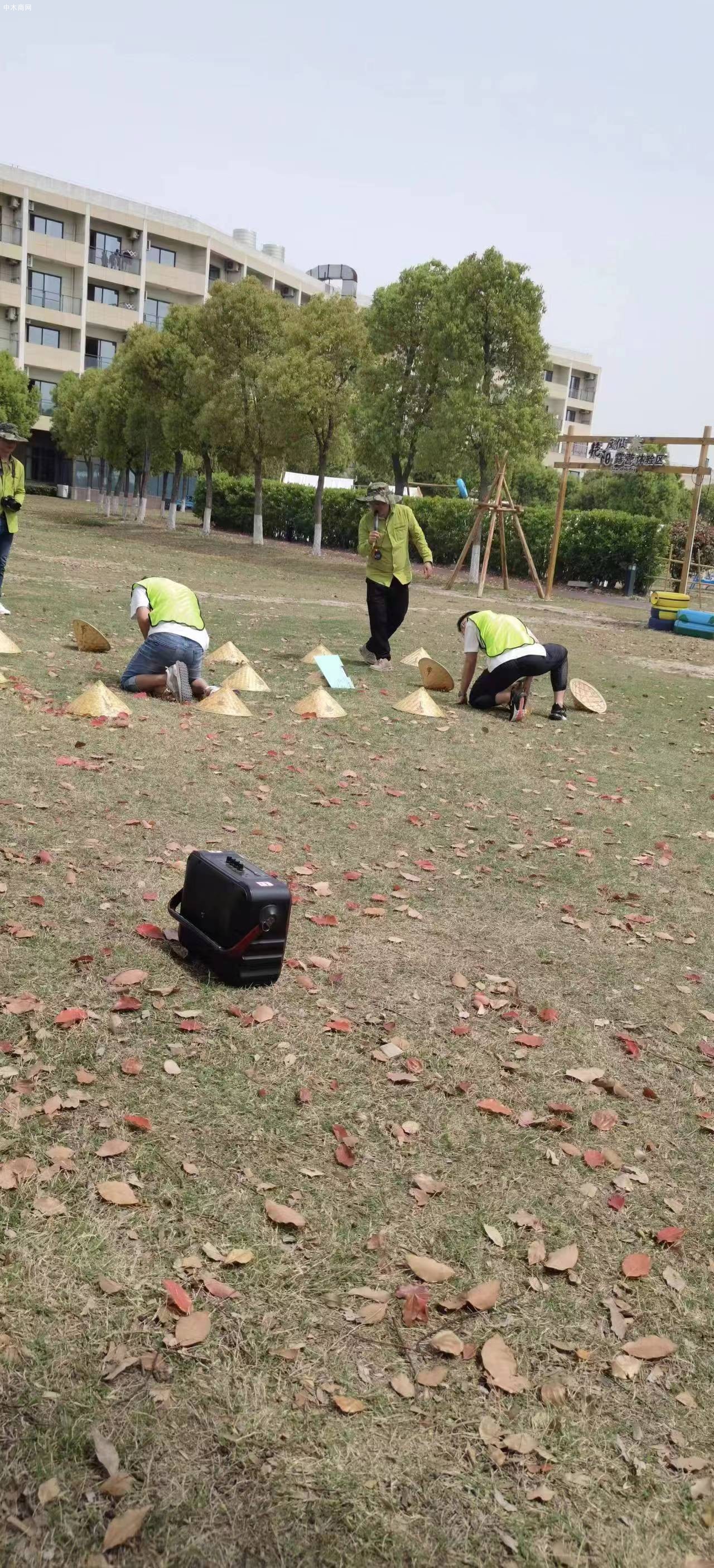 上海山姆木業美國黑胡桃板材強大的銷售服務團隊管理