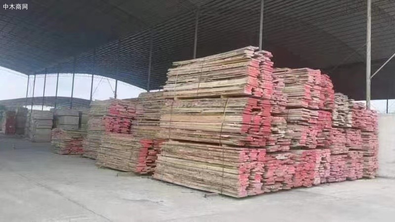 處理一批櫸木毛邊板材