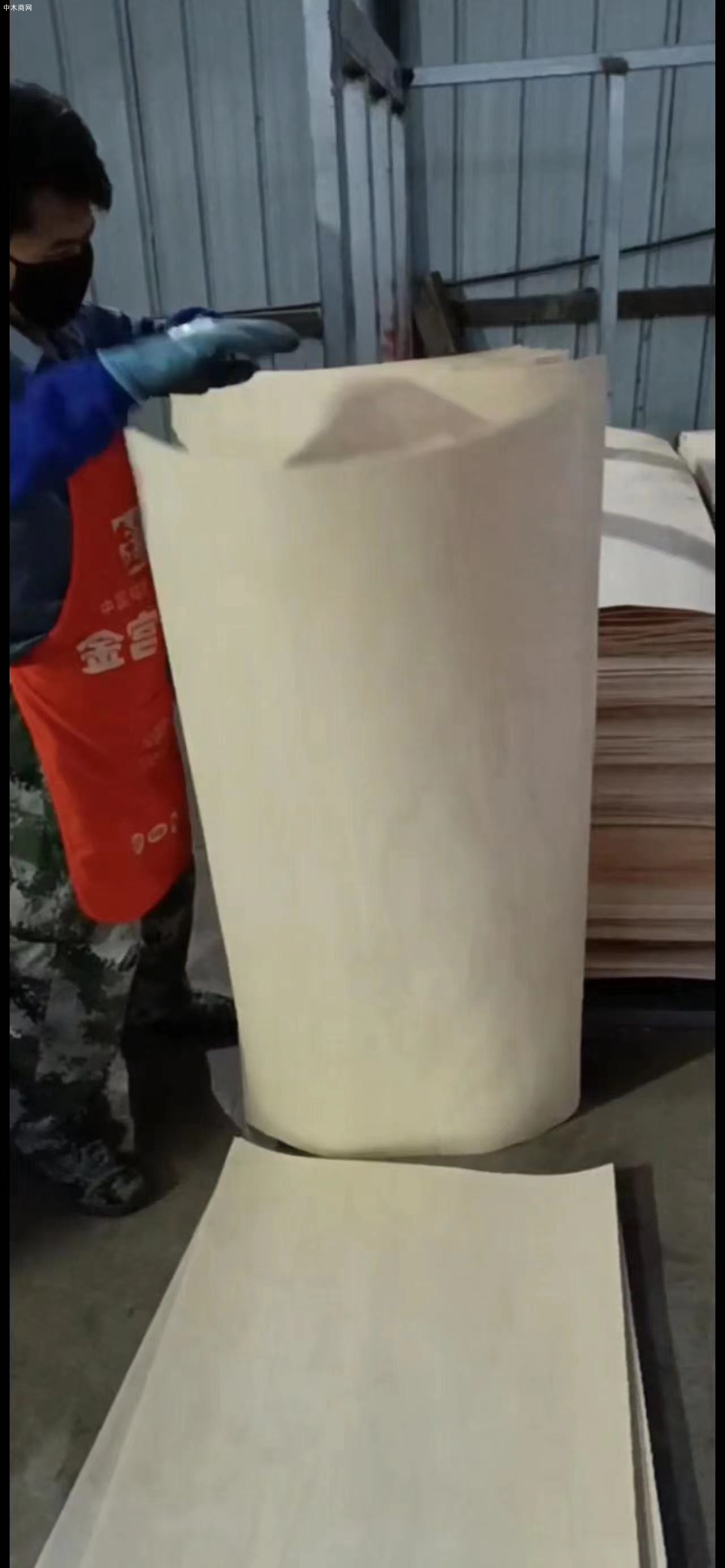 長期供應西南樺橡膠木皮一級二級板皮