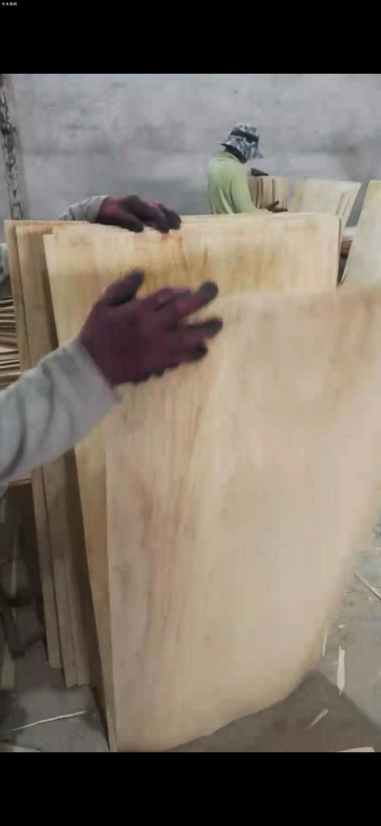 長期供應西南樺橡膠木皮一級二級板皮圖片