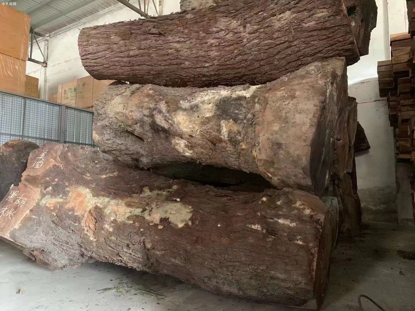 我國從澳大利亞進口木材增長明顯