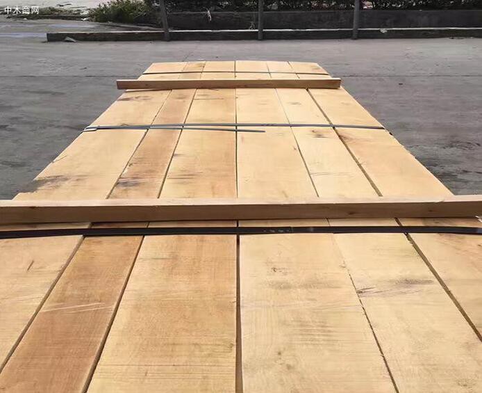 楓樹的分類及楓樹家具的優缺點價格
