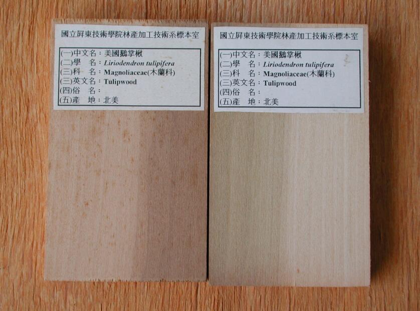 美國(guó)鵝掌楸木是什么檔次及美國(guó)鵝掌楸木的特點(diǎn)品牌