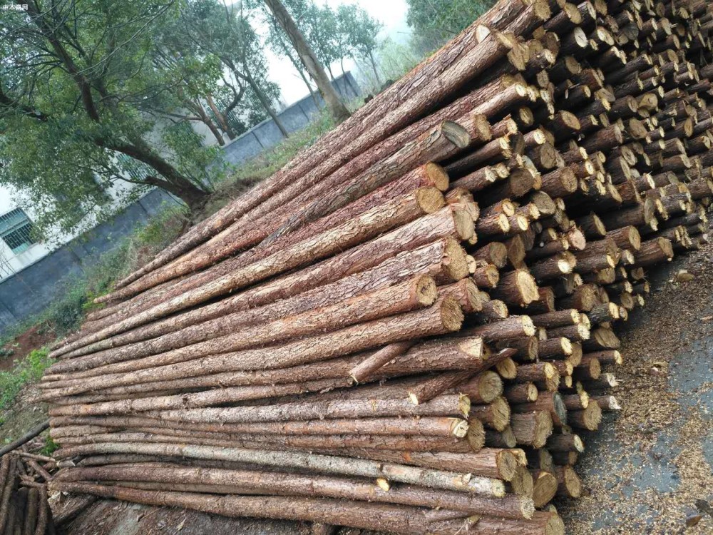 山東曹縣形成千億級的林木加工綠色產業