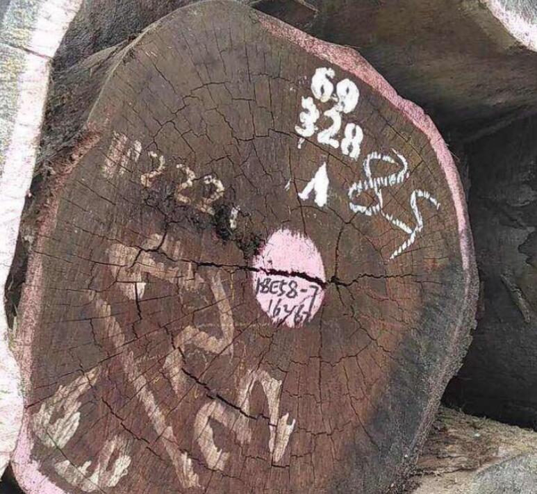 奧坎原木價格行情