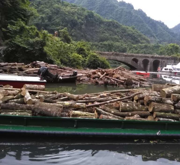 榕江縣召開(kāi)木材產(chǎn)業(yè)招商推介會(huì)