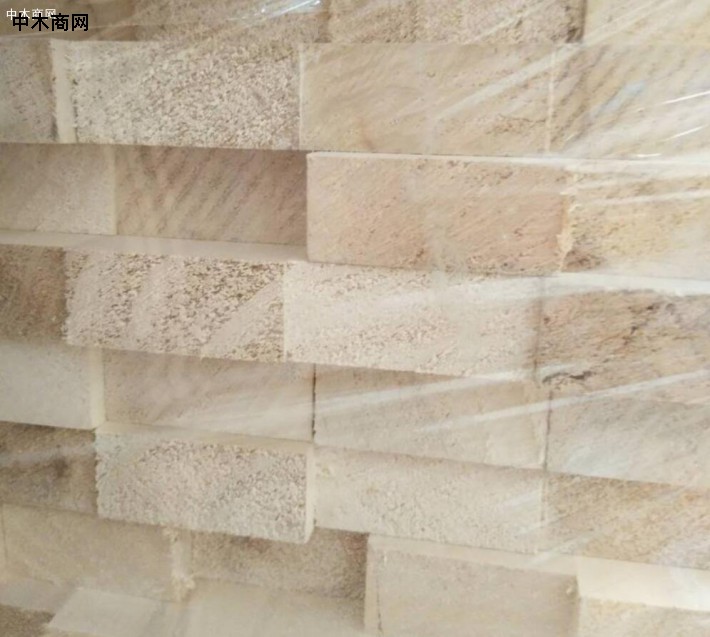 菏澤市鄆城縣政協考察木業產業鏈工作