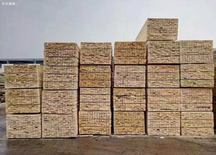數轉智改賦能曹縣木材加工產業轉型升級