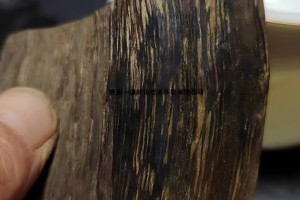 深圳海關(guān)截獲16.4公斤瀕危沉香木