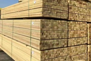 求購：3米長3x8建筑木方