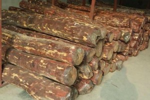 小葉紫檀原木價(jià)格行情分析