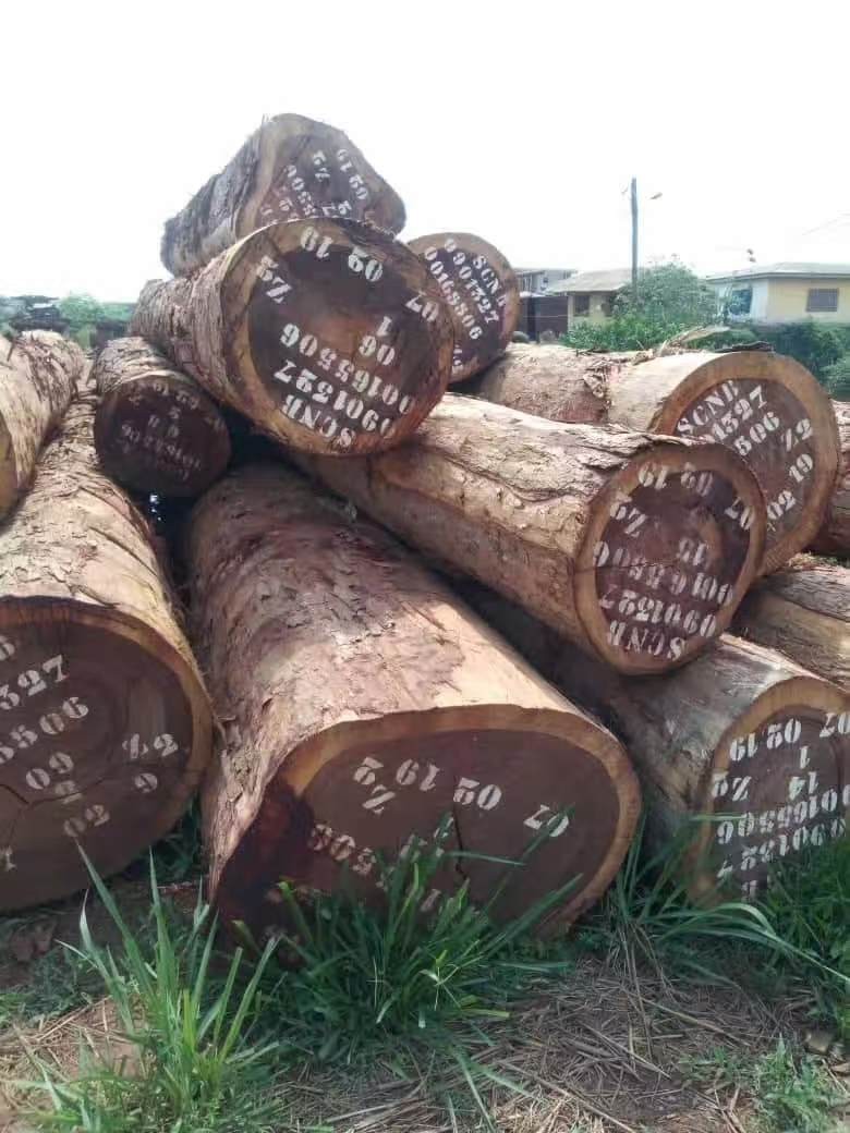 馬來西亞木材價格行情供應