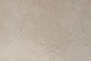 大亞人造板年產30萬立方米刨花板項目簽約入駐廣西