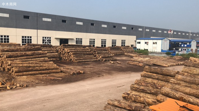 新西蘭最新報告：中國木材市場將復蘇！