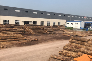 新西蘭最新報告：中國木材市場將復蘇！