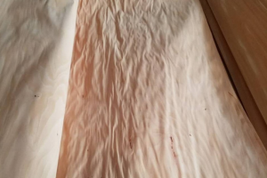 櫸木木皮價(jià)格行情