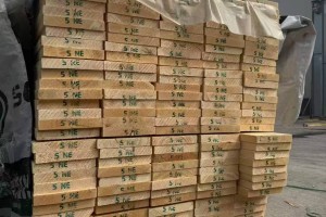 俄羅斯NOVO樟子松烘干板材批發(fā)