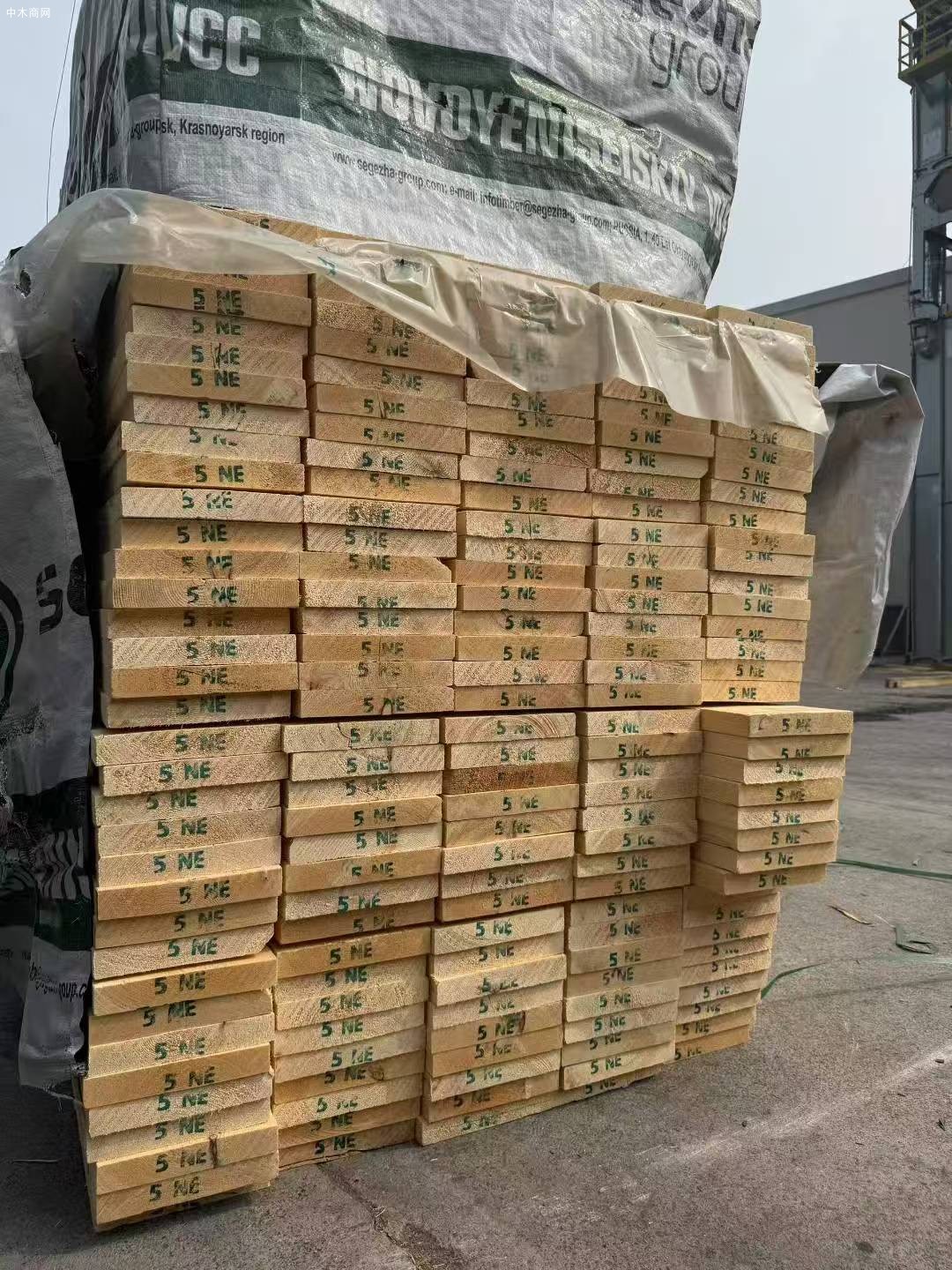 俄羅斯NOVO樟子松烘干板材批發